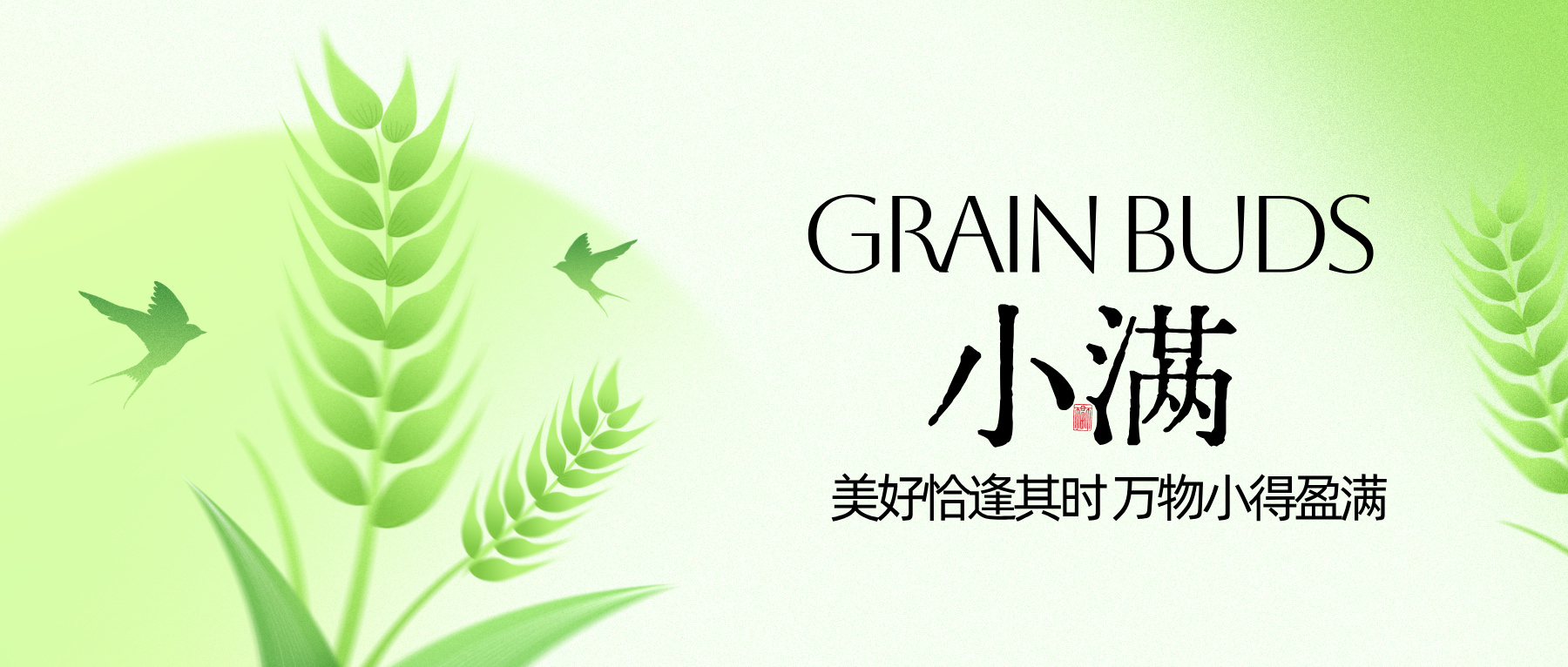 小满|穗禾渐盈 人生小满。