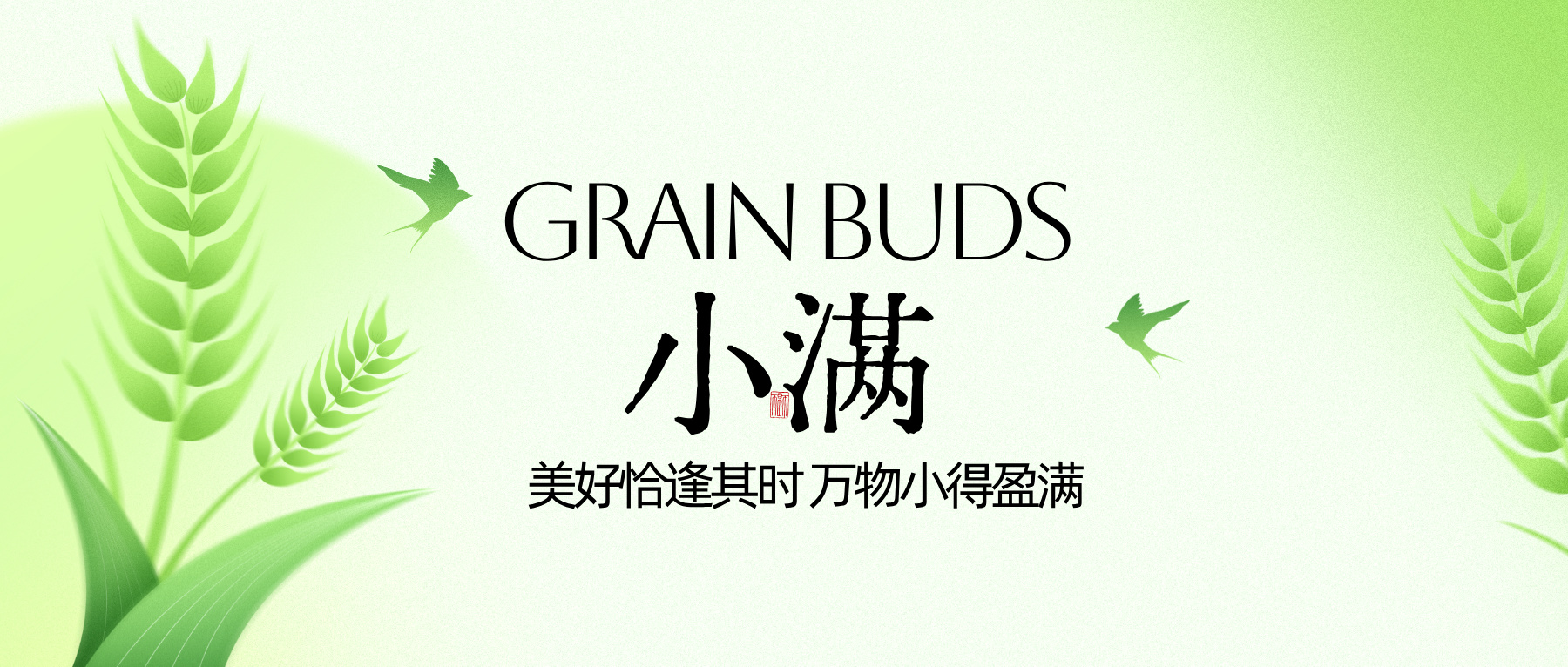 小满|穗禾渐盈 人生小满。